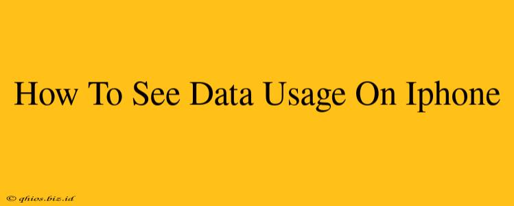 How To See Data Usage On Iphone