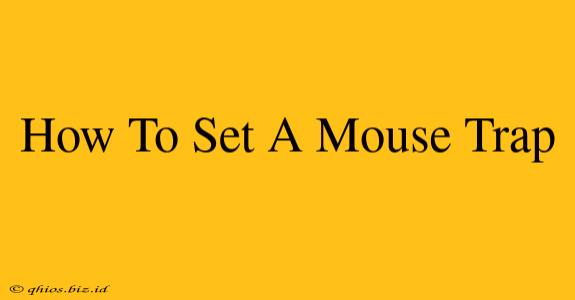 How To Set A Mouse Trap