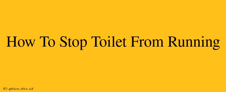 How To Stop Toilet From Running