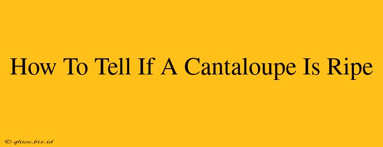 How To Tell If A Cantaloupe Is Ripe