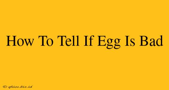 How To Tell If Egg Is Bad