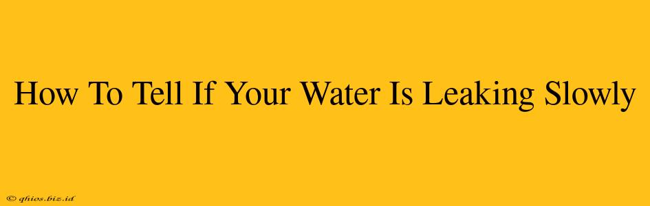 How To Tell If Your Water Is Leaking Slowly