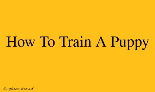 How To Train A Puppy