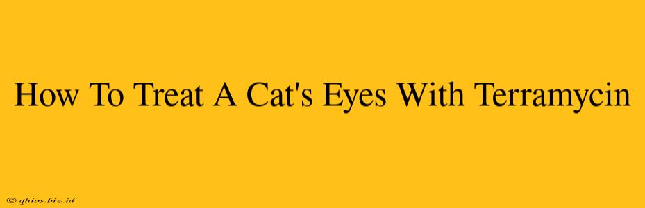 How To Treat A Cat's Eyes With Terramycin