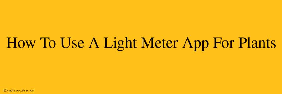 How To Use A Light Meter App For Plants
