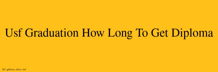 Usf Graduation How Long To Get Diploma