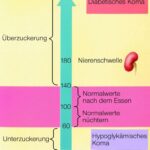 Diabetes Mellitus: Wissen, Einstellung Und Praxis – Ein Umfassender Überblick